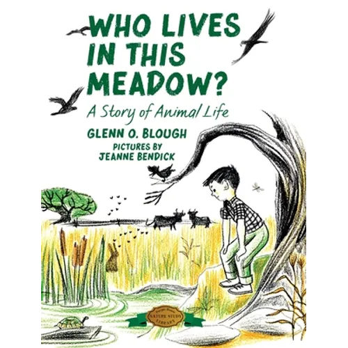 Who Lives in this Meadow?: A Story of Animal Life