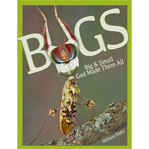 Bugs Big & Small: God Made Them All