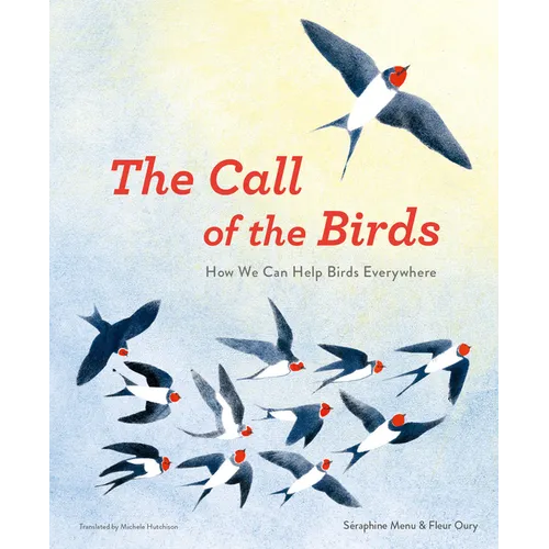The Call of the Birds: How We Can Help Birds Everywhere