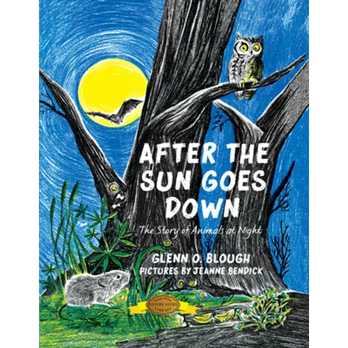 After the Sun Goes Down