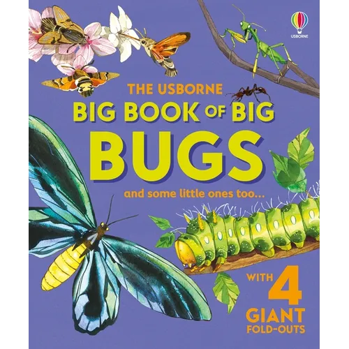 Big Book of Big Bugs