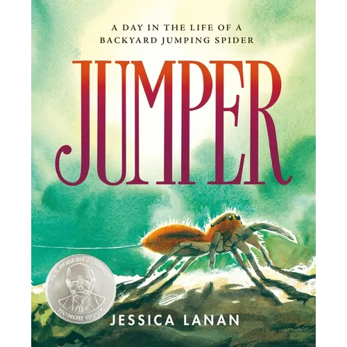 Jumper: A Day in the Life of a Backyard Jumping Spider