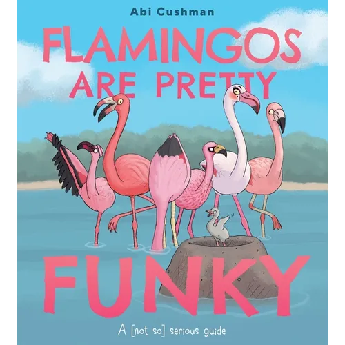 Flamingos Are Pretty Funky: A (Not So) Serious Guide
