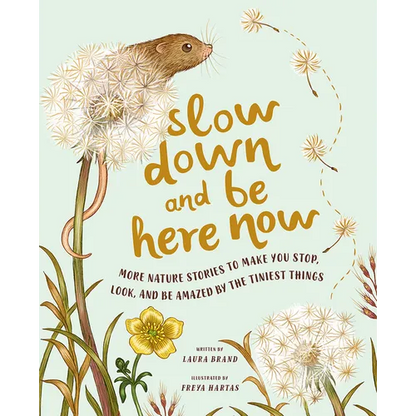 Slow Down and Be Here Now: More Nature Stories to Make You Stop, Look, and Be Amazed by the Tiniest Things - Hardcover