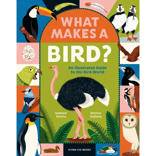 What Makes a Bird?: An Illustrated Guide to the Bird World