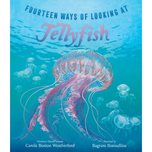Fourteen Ways of Looking at Jellyfish