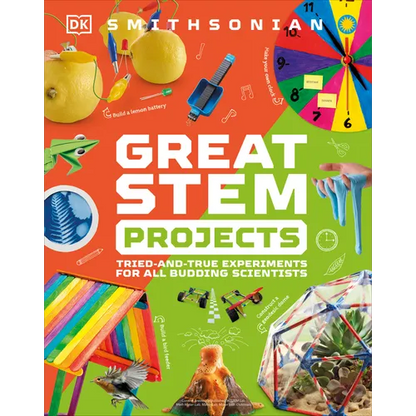 Great Stem Projects - Paperback