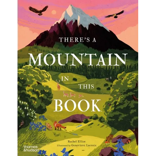 There's a Mountain in This Book