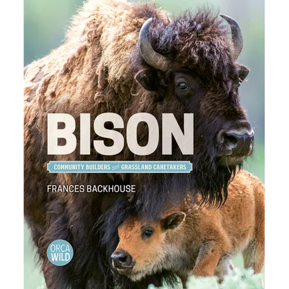 Bison: Community Builders and Grassland Caretakers