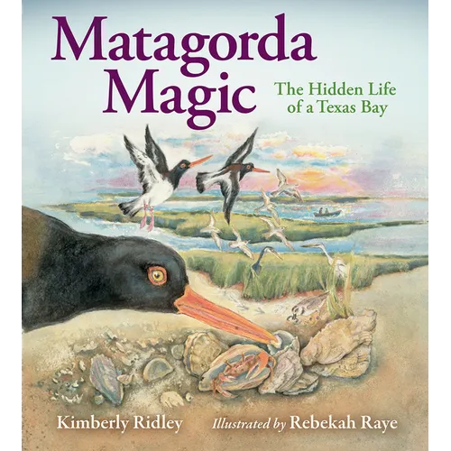 Matagorda Magic: The Hidden Life of a Texas Bay