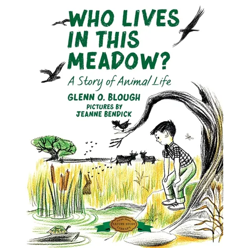 Who Lives in this Meadow?: A Story of Animal Life