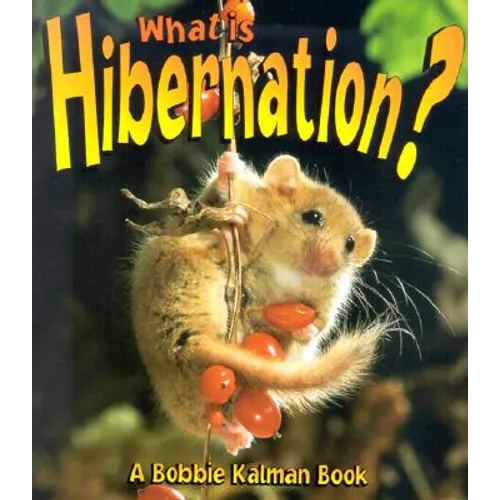 What is Hibernation?