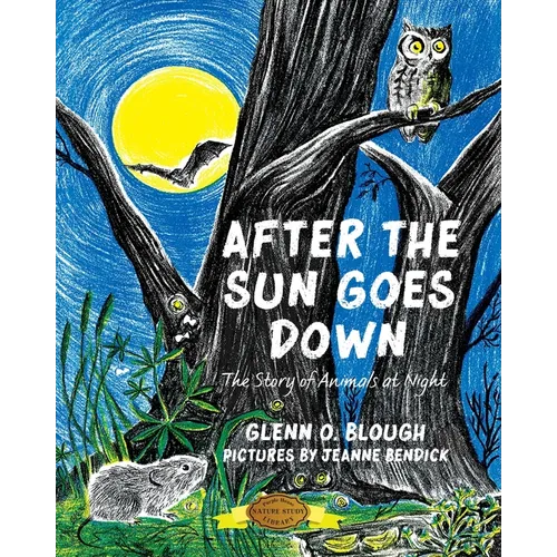 After the Sun Goes Down